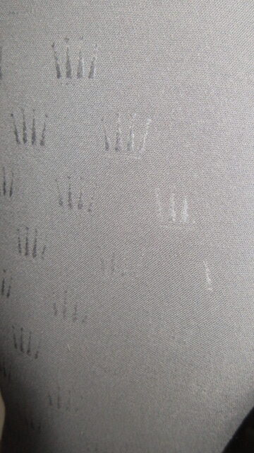 Spodnie do jazdy konnej. Bryczesy Spooks Riding. roz L